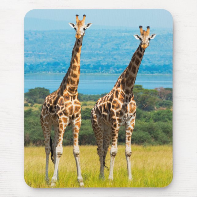 Tapis De Souris Girafes dans la savane, Ouganda (Devant)