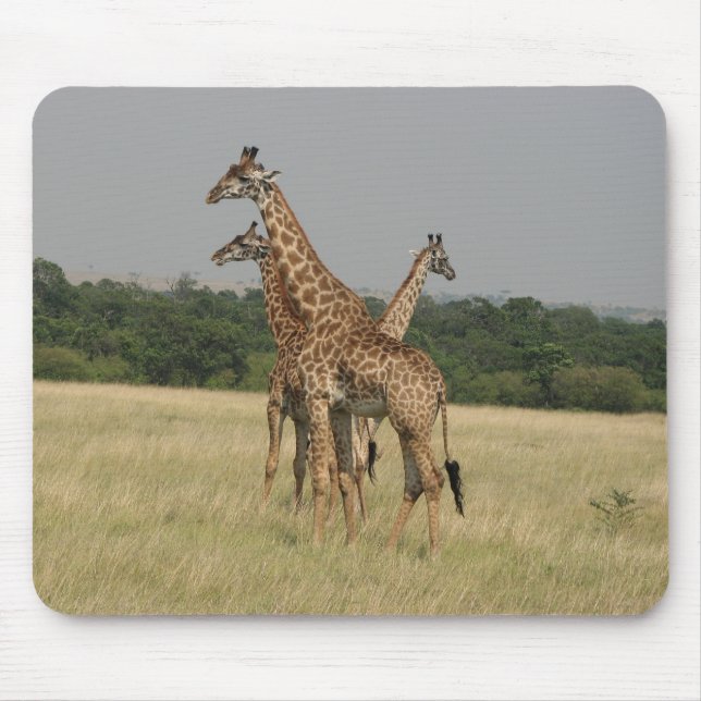 Tapis De Souris Girafes de Massai (Devant)