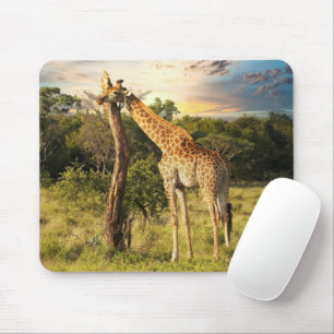 Tapis De Souris Giraffe
