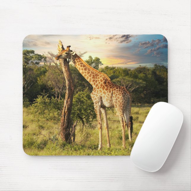 Tapis De Souris Giraffe (Avec souris)