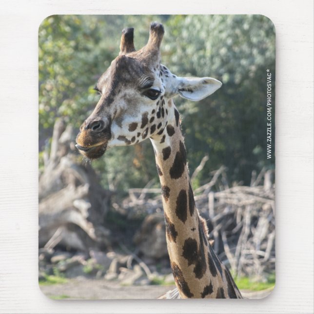 Tapis De Souris Giraffe (Devant)