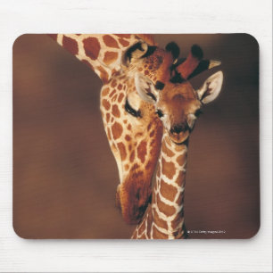Tapis De Souris Giraffe adulte avec veau (Giraffa camelopardalis)