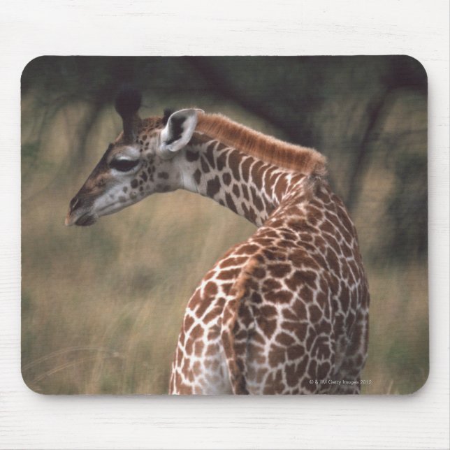 Tapis De Souris Giraffe du Massai 2 (Devant)