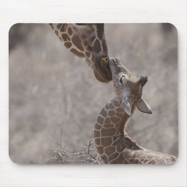 Tapis De Souris Giraffe, Kenya, Afrique (Devant)