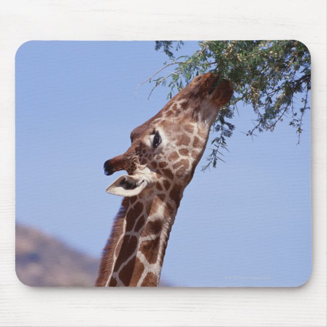 Tapis De Souris Giraffe réticulée (Devant)