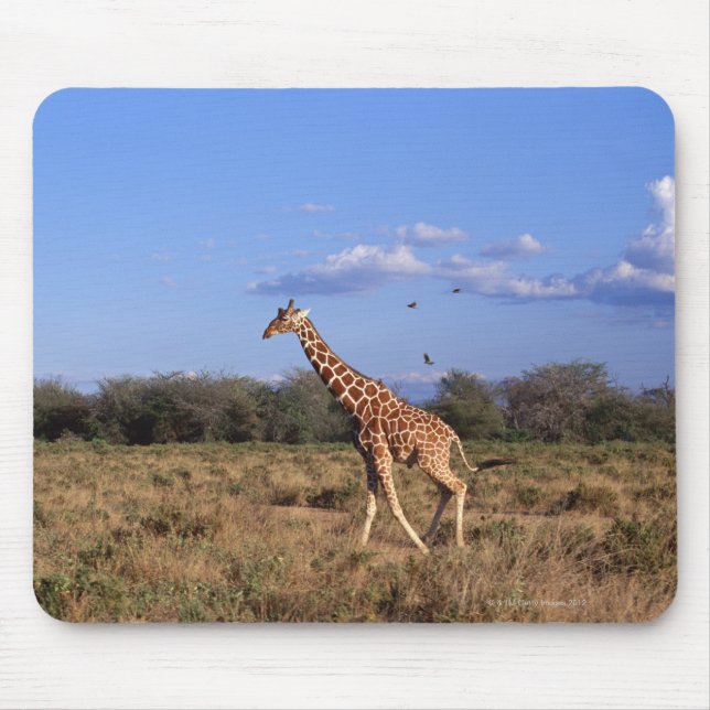 Tapis De Souris Giraffe réticulée 2 (Devant)