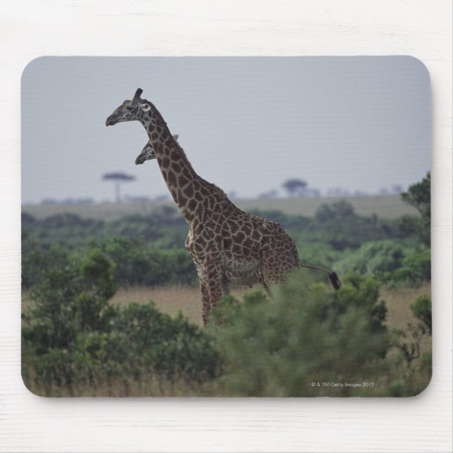Tapis De Souris Giraffes en Afrique (Devant)