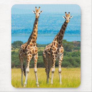 Tapis De Souris Giraffes sur la Savanna, Ouganda