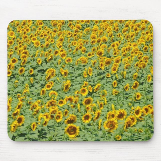 Tapis De Souris Gisement jaune de tournesol (Devant)