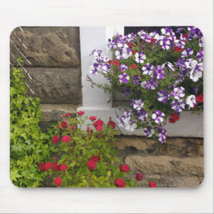 Tapis De Souris Gîte écossais avec pétunias et rose