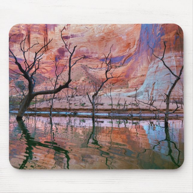 Tapis De Souris Glen Canyon National Recrerereation Area, Utah (Devant)