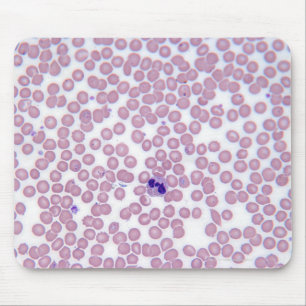 Tapis De Souris Globules sanguins malariques