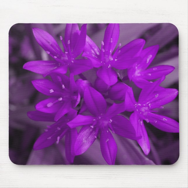 Tapis De Souris Gloire De La Mousepad Violet De Neige (Devant)