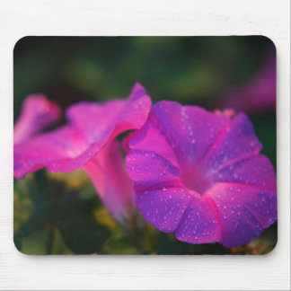 Tapis De Souris Gloire de matin Mousepad
