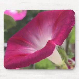 Tapis De Souris Glorieuse du matin rouge rubis en gros plan 