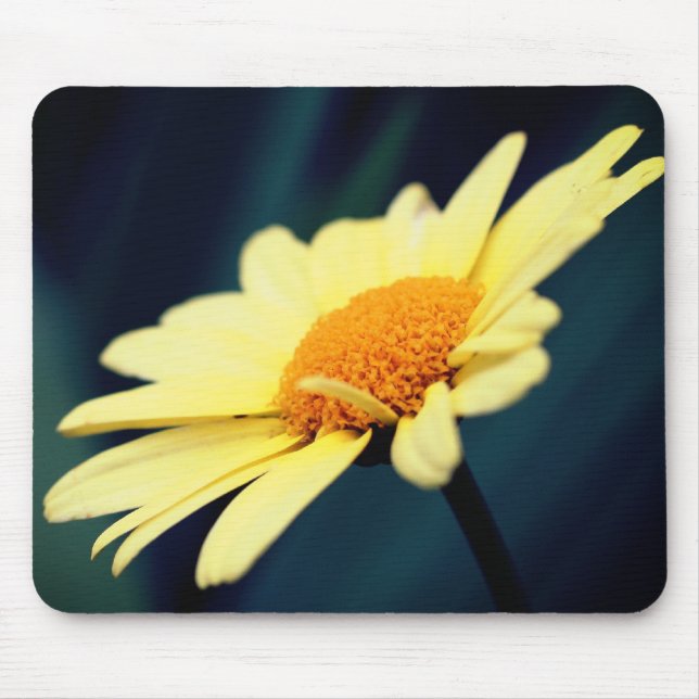 Tapis De Souris Glorieuse Fleur de marguerite jaune (Devant)