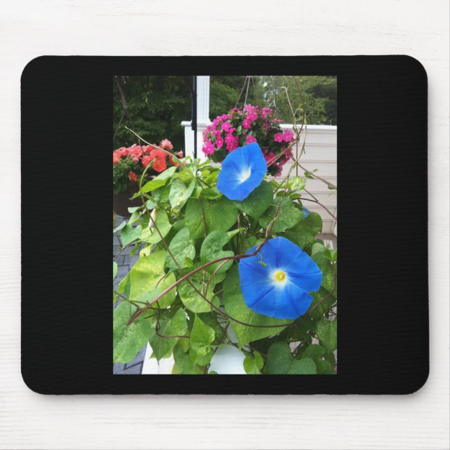 Tapis De Souris Glorieuses Volubilis Bleues (Devant)
