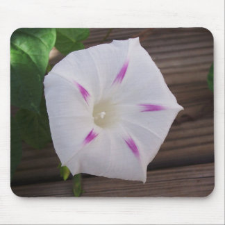 Tapis De Souris Glory White du matin