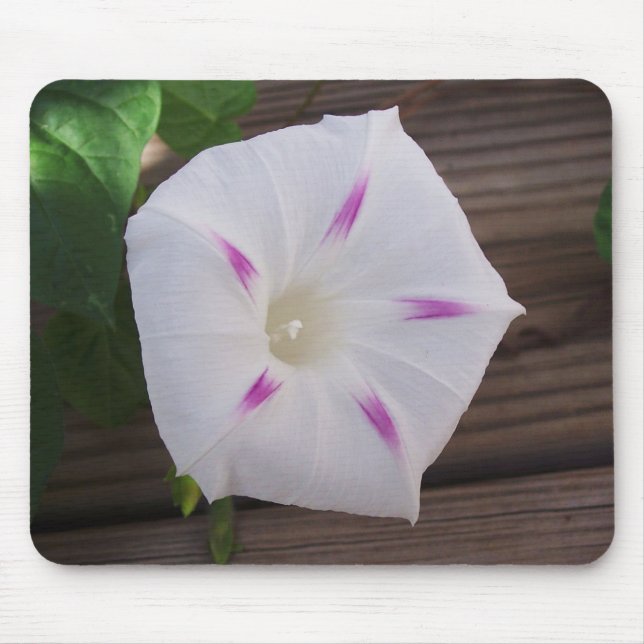 Tapis De Souris Glory White du matin (Devant)