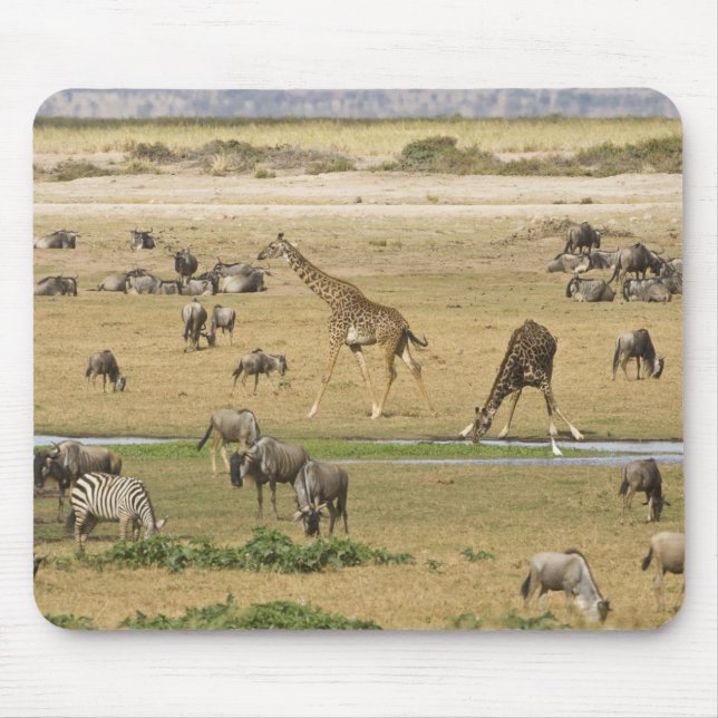 Tapis De Souris Gnous, Zèbres et Girafes (Devant)