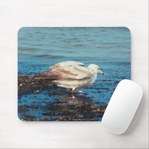 Tapis De Souris Goéland à hareng P1046