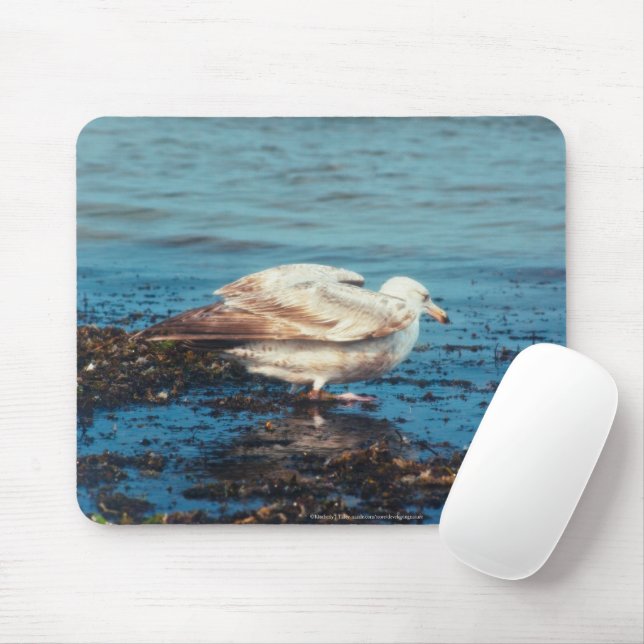Tapis De Souris Goéland à hareng P1046 (Avec souris)