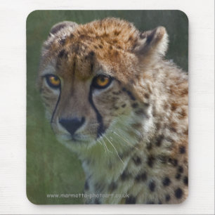 Tapis de souris Golden Cheetah