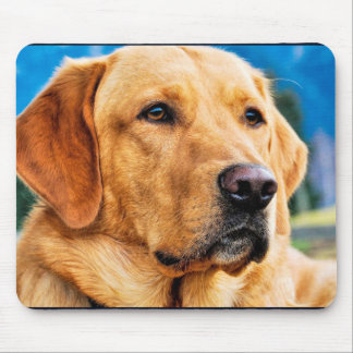 Tapis De Souris Golden Labrador Retriever