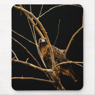 Tapis De Souris Golden Mousepad