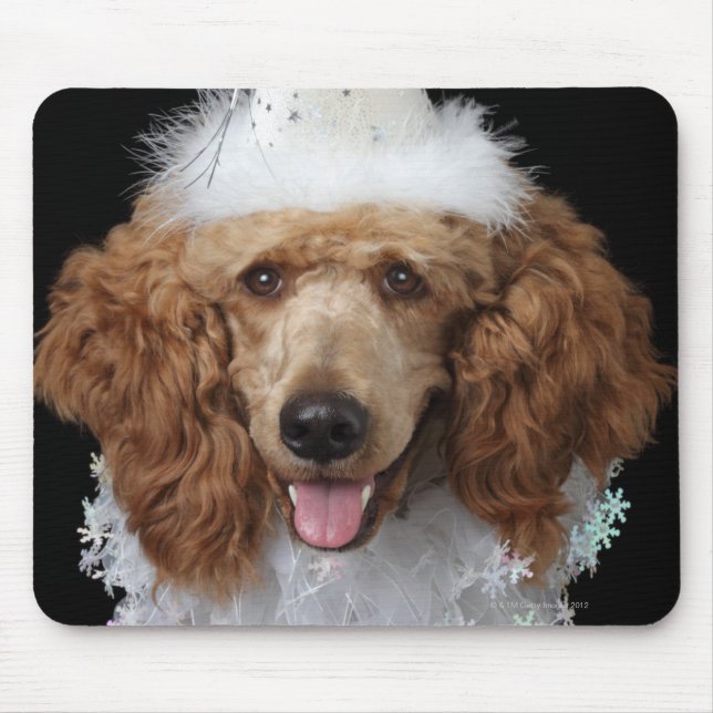 Tapis De Souris Golden Poodle Dog en costume de clown blanc (Devant)