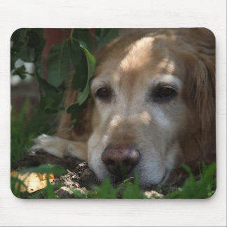 Tapis De Souris Golden retriever