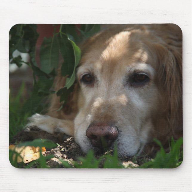 Tapis De Souris Golden retriever (Devant)