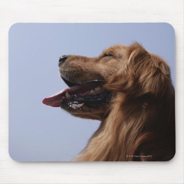 Tapis De Souris Golden Retriever 6 (Devant)