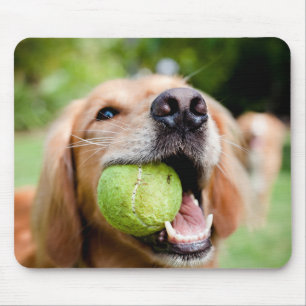 Tapis De Souris Golden Retriever Avec Le Bal De Tennis