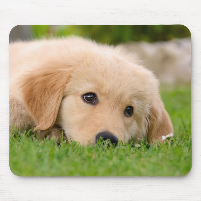 Tapis De Souris Golden Retriever Chien mignon Chiot Rêvant, (Devant)