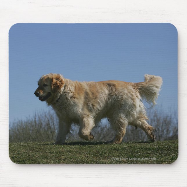 Tapis De Souris Golden retriever courant 3 (Devant)