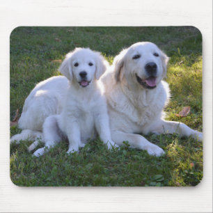 Tapis De Souris Golden Retriever maman et chiot