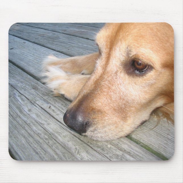 Tapis De Souris Golden retriever Mousepad (Devant)