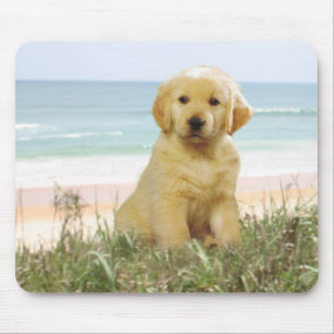Tapis De Souris Golden retriever Mousepad