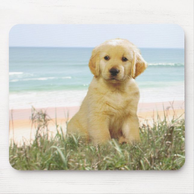 Tapis De Souris Golden retriever Mousepad (Devant)