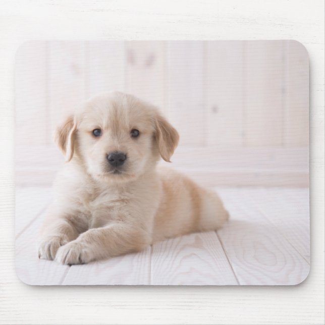 Tapis De Souris Golden retriever se couchant (Devant)