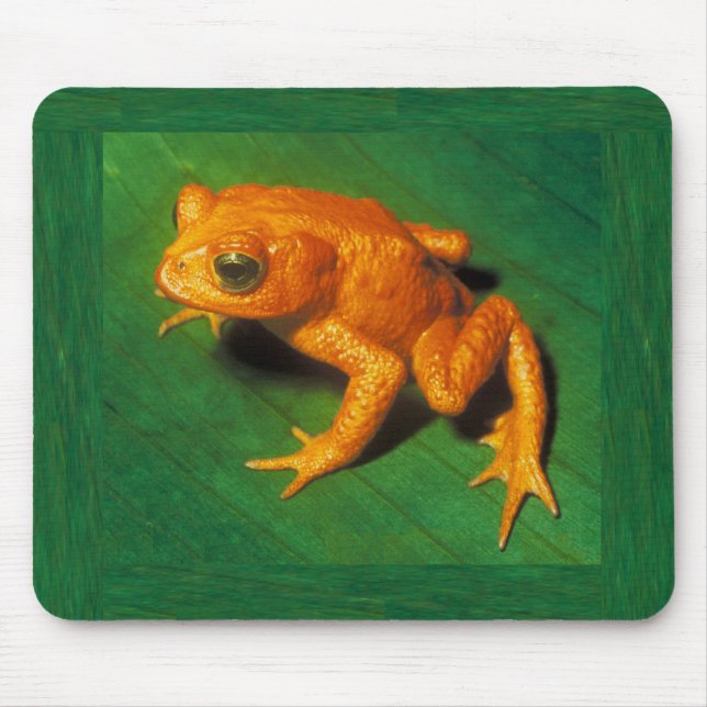 Tapis De Souris Golden Toad Mousepad (Devant)