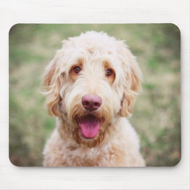 Tapis De Souris Goldendoodle souriant (Devant)