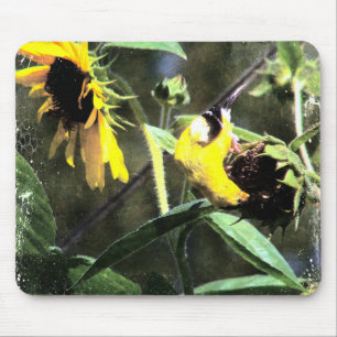 Tapis De Souris Goldfinch