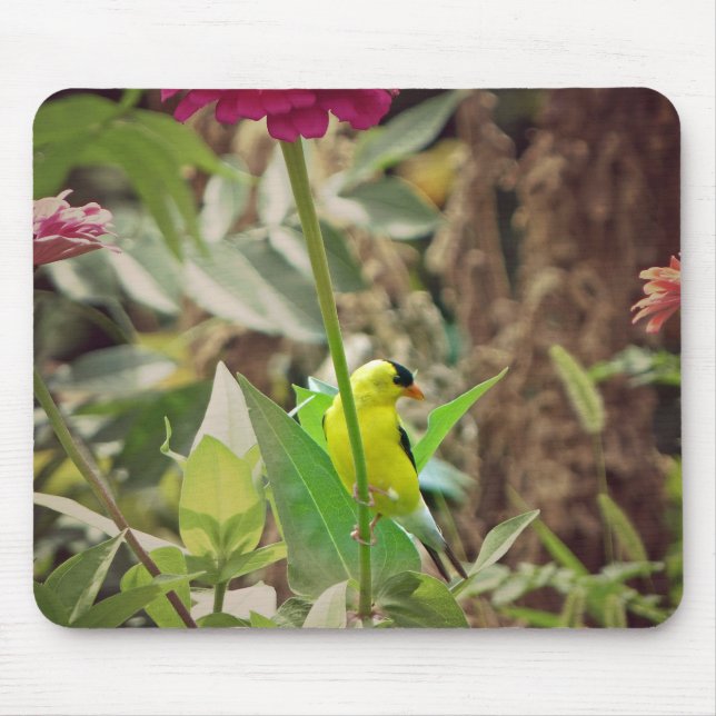 Tapis De Souris Goldfinch (Devant)