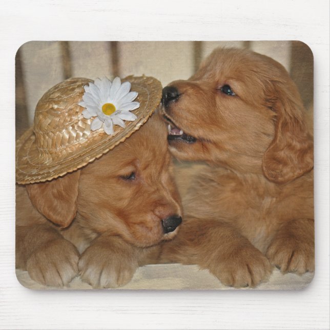 Tapis De Souris Goofy Golden Retriever Puppies (Devant)