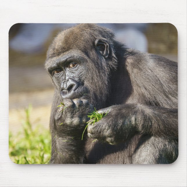 Tapis De Souris Gorilla Youngster (Devant)