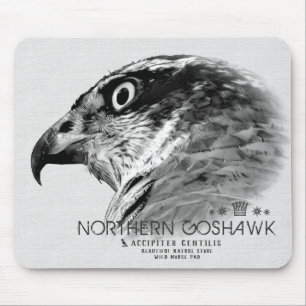 Tapis De Souris Goshawk du Nord