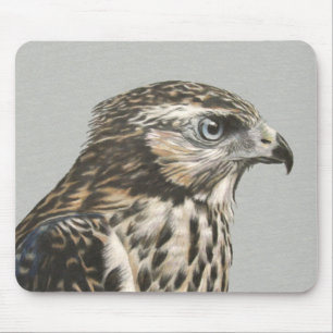 Tapis De Souris Goshawk immature