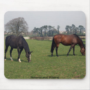 Tapis De Souris Goujon national